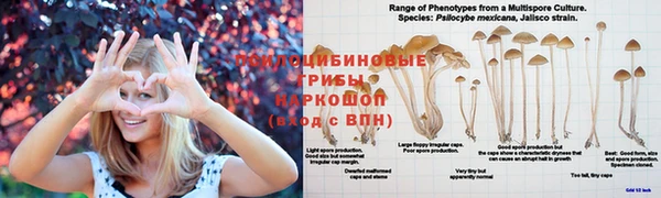 мефедрон мука Беломорск